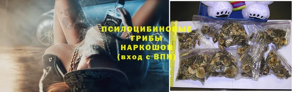 a pvp Протвино