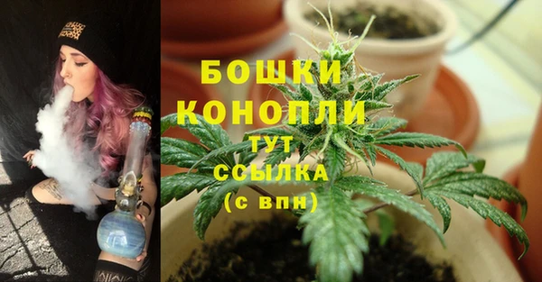 ALPHA PVP Приозерск