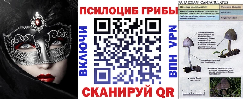 нарко площадка как зайти  Сертолово  Псилоцибиновые грибы Psilocybe 