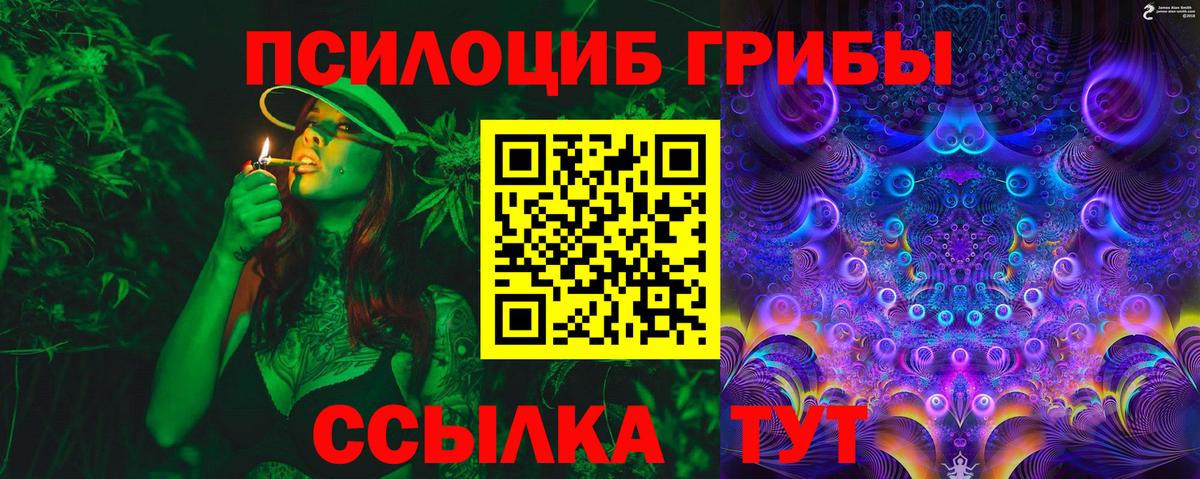 Сертолово  где можно купить   Галлюциногенные грибы GOLDEN TEACHER  Вход с VPN  Галлюциногенные грибы Psilocybine cubensis 